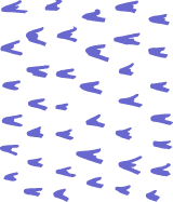 V-Shaped Texture