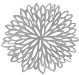 Painted Dahlia