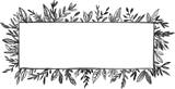Painted Border