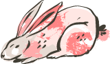 Resting Bunny
