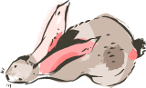 Sleepy Bunny