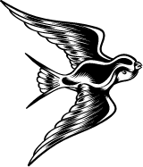 Flapping Blackbird