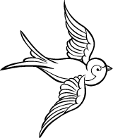 Soaring Swallow