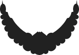 Beard No Moustache