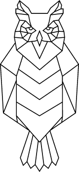 Geometric Owl
