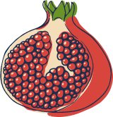 Sketched Pomegranate