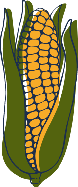 Sketched Corn
