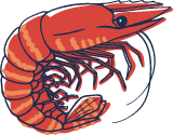 Live Prawn