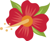 Hibiscus Flower