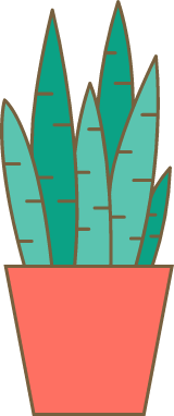 Potted Agave Plant