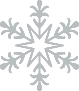 Botanical Snowflake