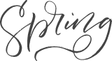 Spring Script