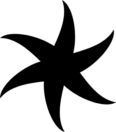 Throwing Star