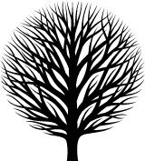 Rounded Tree