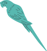 Macaw Parrot
