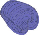 Knitted Beanie
